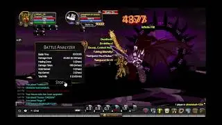 AQW Immortal Chronomancer damage test (No potions)