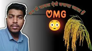 Rice Is Made From money In This Way. धन से चावल ऐसे बनाया जाता हैं