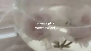 oneus - pink venom speed up