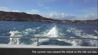 Buck Island Half Day Sail with Big Beard's Adventure Tours