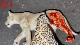 Ep4,The Bleedings,(lion,tiger, leopard series)￼