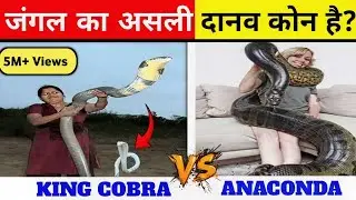 King Cobra vs Python | जंगल का असली राजा कौन? 🐍दुनिया की सबसे खतरनाक Snake Fight 😱