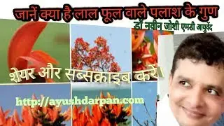 Medicinal Importance of  Butea monosperma/ Palash/Tesu/Flame of the forest