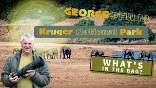 🐘 Kruger Park Safari Adventure | Camera Gear Packing Tips for Travel 📸✈️