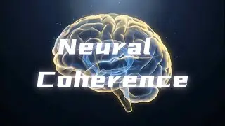Neural Coherence & Synchrony, Focus, Memory and Cognitive organization