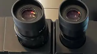 Intro microscope for beginner, zoom in each module, for intensity, focus coarse and find adjustment