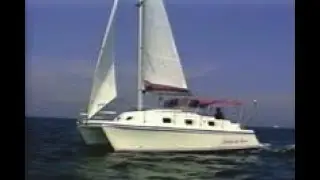 EndeavourCat 30 Official Video