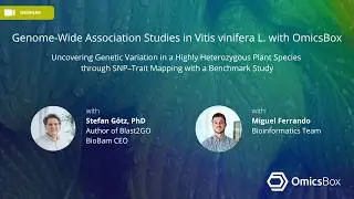 Webinar: Genome-Wide Association Studies in Vitis vinifera L. with OmicsBox