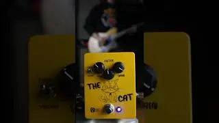 Ordep Audio - The Cat
