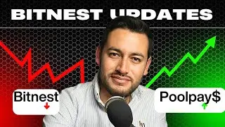 Bitnest letest update & Decentralized system pollpay$ Plan