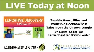 Lunchtime Discovery: Zombie House Flies and Invincible Cockroaches: Tales from the Unseen Jungle