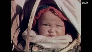 North | Flock Entertainment | Directed by- Leslie Lagier