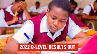 2022 O- LEVEL RESULTS OUT | DAILY NEWS EPISODE