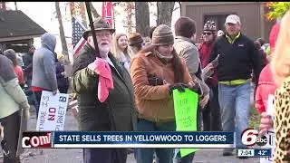 State sells trees in Yellowwood to loggers; protests erupt