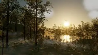 Procedural Environment Showcase &ndash; 4K Real-Time Graphics (Unity HDRP)