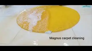 Scraping carpet cleaning competition#asmr #satisfying #cleaningcarpet