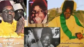 Hoo💥🎖❤💚écouter le témoignage de serigne maodo sy d abbakh sur seydi djamil #duet #tivaouane 
