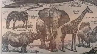 Biosphere/Anthrosphere