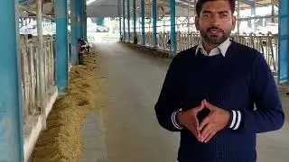 Tips to increase  Fat and LR in dairy farm 🚜 👌 