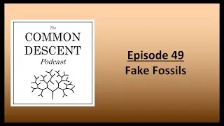 Episode 49 - Fake Fossils