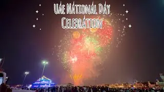 Dubai (UAE) national day celebrations #dubai #viral #viralvideo #fyp #inspiration #fireworks 
