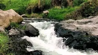Peaceful Gentle River Atmosphere | For Better Sleep & Worry Relief