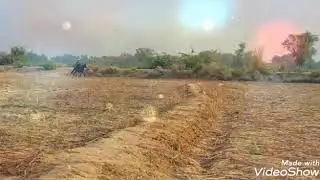 Khalol Kot Haibat Pull klery