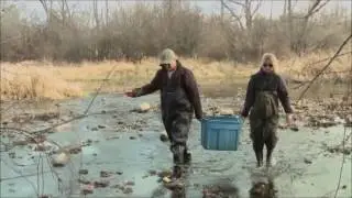 S3 M2 - Fish Community Sampling Using Seining Techniques