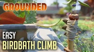 Grounded - Fastest Way to Bird Bath