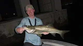 We Caught Massive Snook Night Fishing Under this Bridge (Catch Clean Cook)