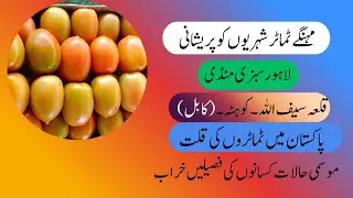 Rain s impact on Lahore Sabzi Mandi Price  | Monsoon Season Produce Tomato Rate in Pakistan Citztion