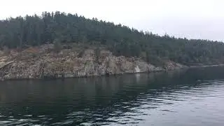 BC Ferry ( Active Pass )
