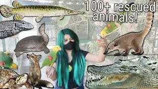 meet 100+ rescued exotic animals! (and their stories) REUPLOAD