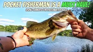 Pocket Fisherman is a MUST HAVE! | Using Shiners for Freshwater Bass #freshwater #bassfishing