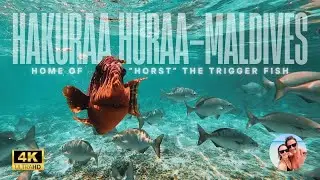 Hakuraa Huraa, Maldives - Home of 