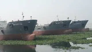 Huge IMO Cargo Ship Sailing Through the Meghna River | Stunning River Traffic
