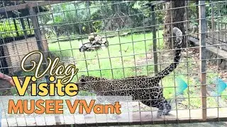 Vlog Burundi 🇧🇮 : Musée Vivant de Bujumbura… Voici Ce Que J’ai Vu !