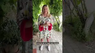 Lycko coctail 4 Serotonin