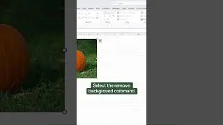 Remove Image background in Excel