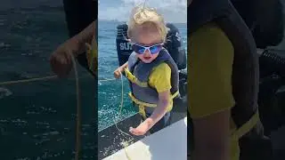 Fisher helps by pulling in the dive flag #kidsvideo # short #shortsvideo #kidsvideo #funnykid #fun