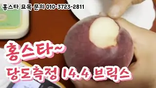 홍스타 복숭아 🍑~당도.무게 측정 해 봄니다