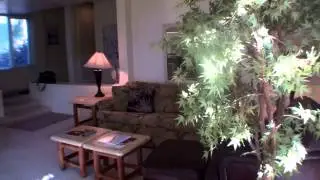 Video 7