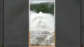 Water Level In Mumbai Lakes At 68 06% ; Modak Sagar Starts Overflowing