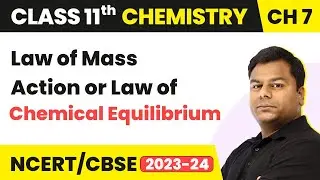 Law of Mass Action or Law of Chemical Equilibrium | Class 11 Chemistry Ch 7 | CBSE/JEE/NEET