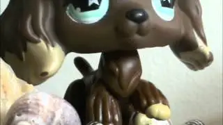 LPS : The Harold Song - Music Video (For XLavenderLPS)