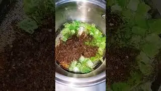 Chai Mexican mint chai #chai