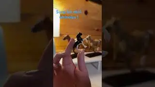 Breyer surprise mini whinnies!