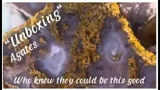I bought a mystery bag of Agates…Here is what I got