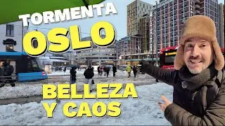 Tormenta de nieve en Oslo, de la Belleza al Caos.