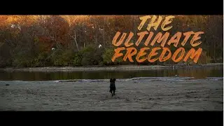 True Freedom For A Dog | Off Leash Freedom